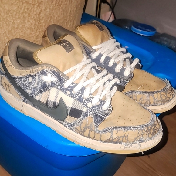 travis scott sb dunk cactus jack